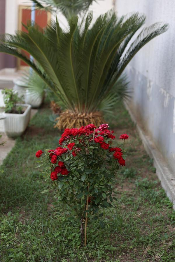Holiday home Serendipity La Terrazza House